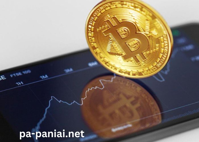 Menavigasi Dunia Investasi Crypto: Peluang dan Risikonya