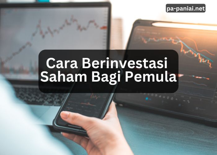 Belajar Investasi: Panduan untuk Pemula